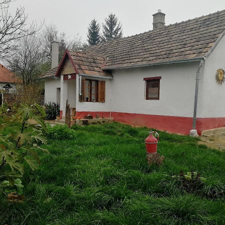 Traditionelles Bauernhaus Flieder Zalaszentgrót Esterno foto