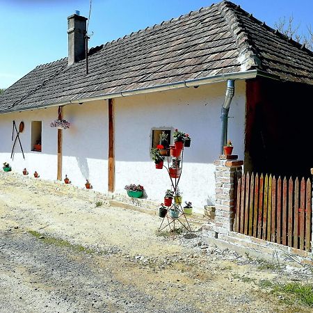 Traditionelles Bauernhaus Flieder Zalaszentgrót Esterno foto