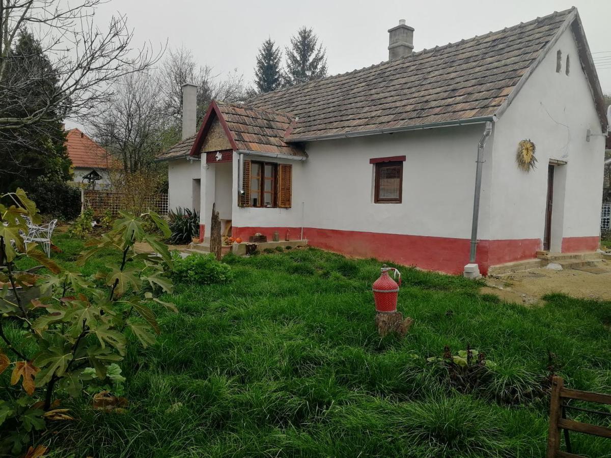 Traditionelles Bauernhaus Flieder Zalaszentgrót Esterno foto