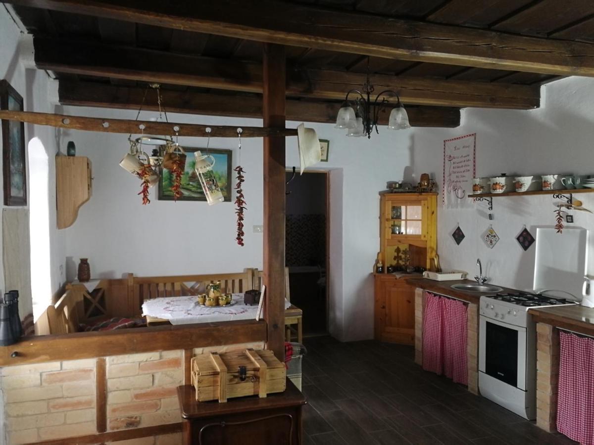 Traditionelles Bauernhaus Flieder Zalaszentgrót Esterno foto