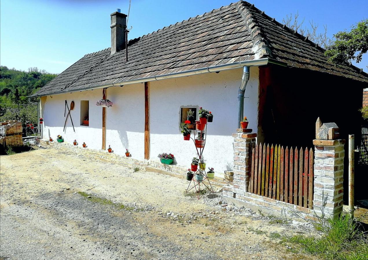 Traditionelles Bauernhaus Flieder Zalaszentgrót Esterno foto